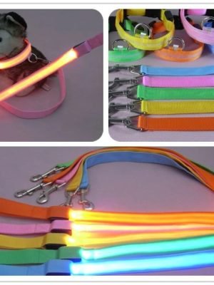 Glow In Dark Dog Leash