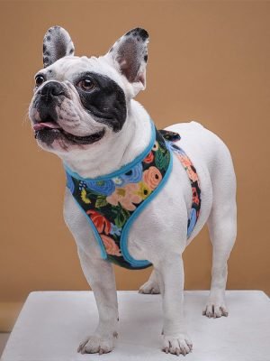 Tropical Pet Harness (S M L XL)