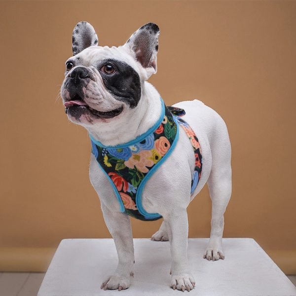 Tropical Pet Harness (S M L XL)