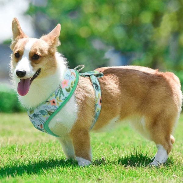 Tropical Pet Harness (S M L XL)