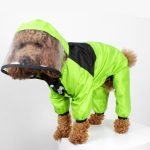 My Pet Raincoat