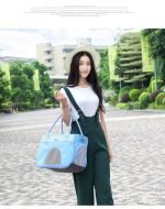 Pet Carrier Handbag