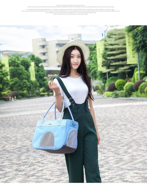 Pet Carrier Handbag
