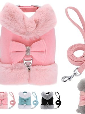 Star Cute - Pet Harness/Leash