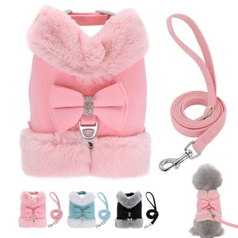 Star Cute - Pet Harness/Leash