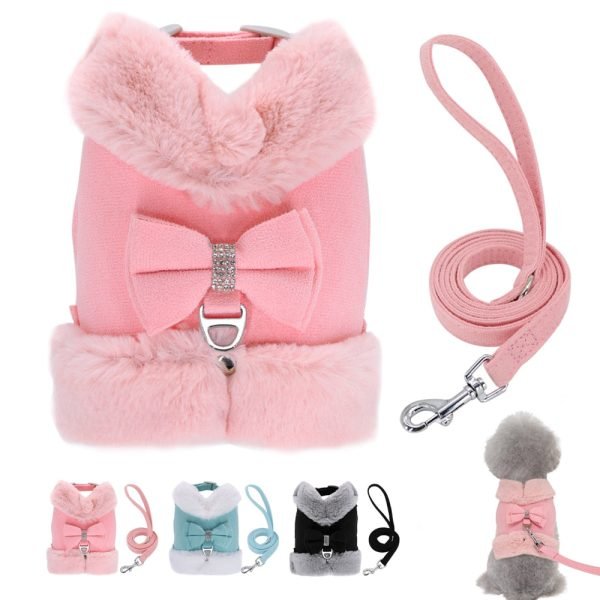 Star Cute - Pet Harness/Leash