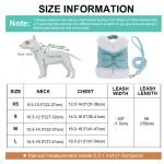 Star Cute - Pet Harness/Leash