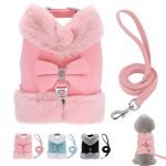 Star Cute - Pet Harness/Leash