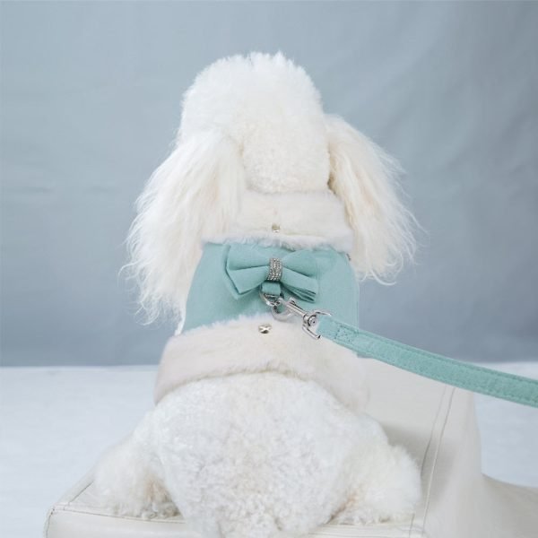 Star Cute - Pet Harness/Leash