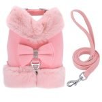 Star Cute - Pet Harness/Leash