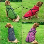 Winter Waterproof - Dog Vest