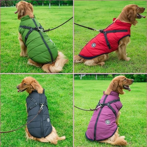 Winter Waterproof - Dog Vest