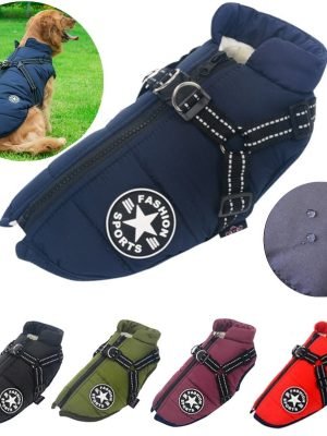 Winter Waterproof - Dog Vest