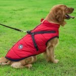 Winter Waterproof - Dog Vest