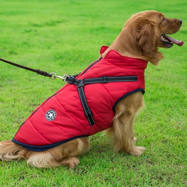 Winter Waterproof - Dog Vest