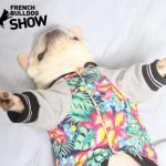 Let's Go! - Bulldog Jackets (S-XXL)