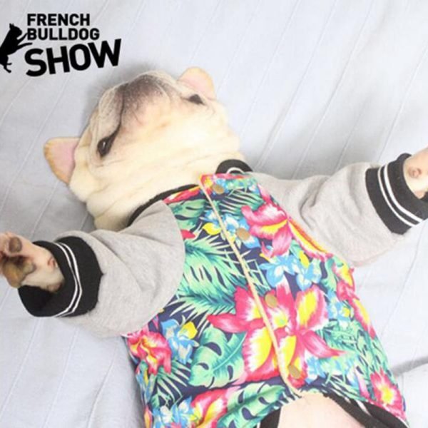 Let's Go! - Bulldog Jackets (S-XXL)