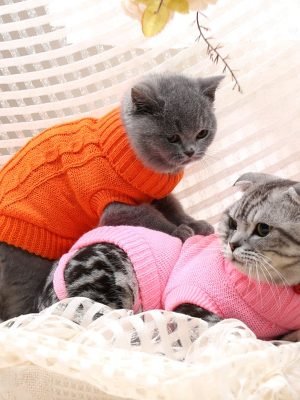 Brighten Up! - Cat Vests - Pets (XS-XXXL)
