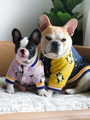 Let's Go! - Bulldog Jackets (S-XXL)