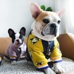 Let's Go! - Bulldog Jackets (S-XXL)