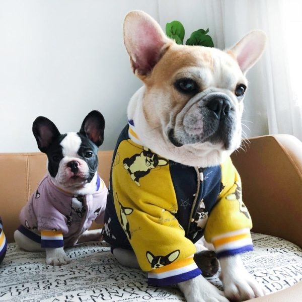 Let's Go! - Bulldog Jackets (S-XXL)