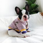 Let's Go! - Bulldog Jackets (S-XXL)