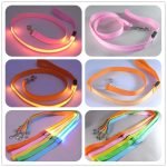 Glow In Dark Dog Leash
