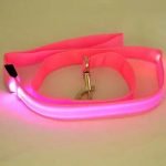 Glow In Dark Dog Leash