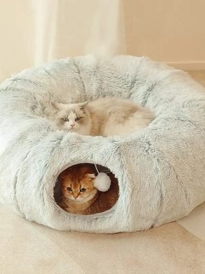 Cat Beds House