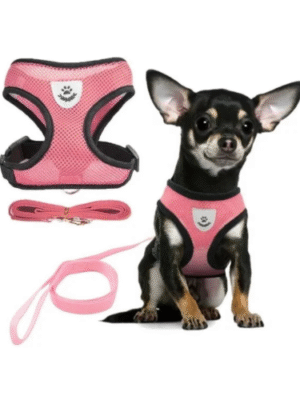 Adjustable Dog Harness （H0001）