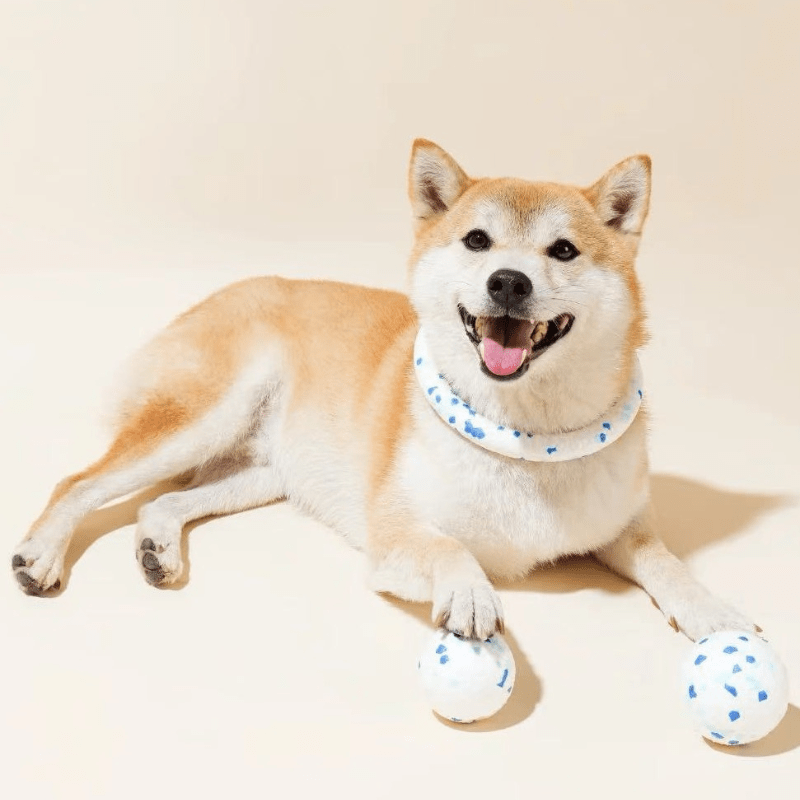 未命名 (800 x 800 像素) (2)